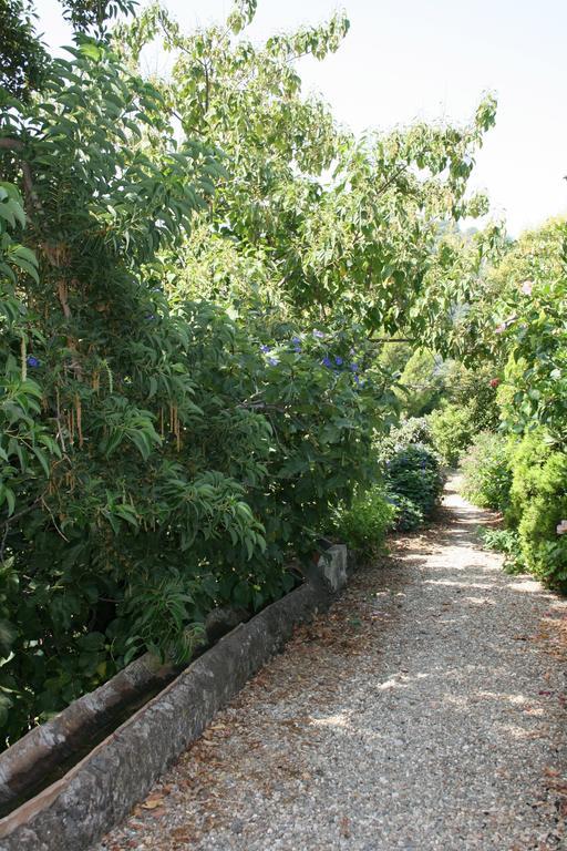 Villa Dei Leoni Санта-Текла Екстер'єр фото